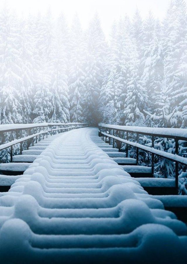Beautiful Winter Pictures (35 pics) Beautiful Winter Pictures (35 pics)