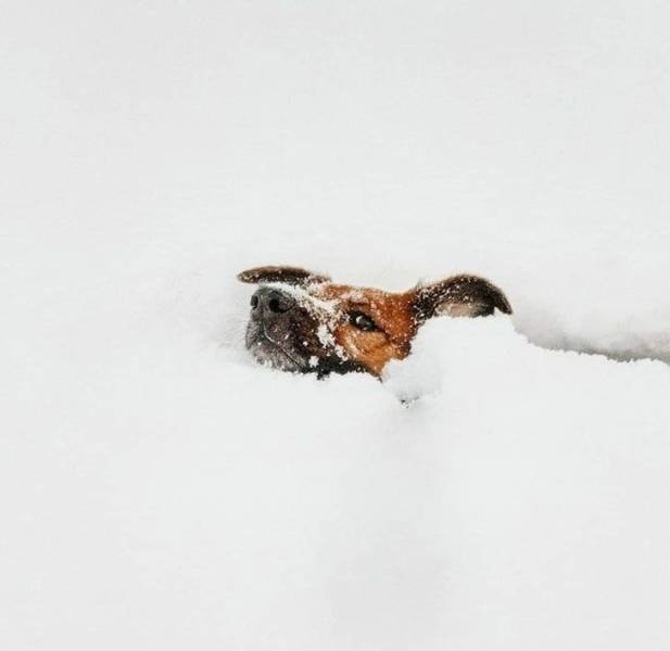 Beautiful Winter Pictures (35 pics) Beautiful Winter Pictures (35 pics)