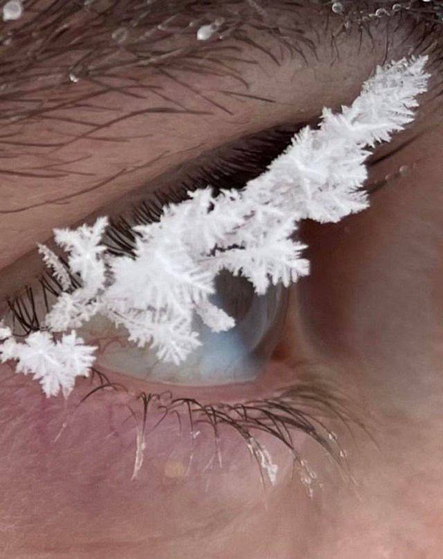 Beautiful Winter Pictures (35 pics)
