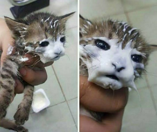 Acid Picdump 1 (87 pics)