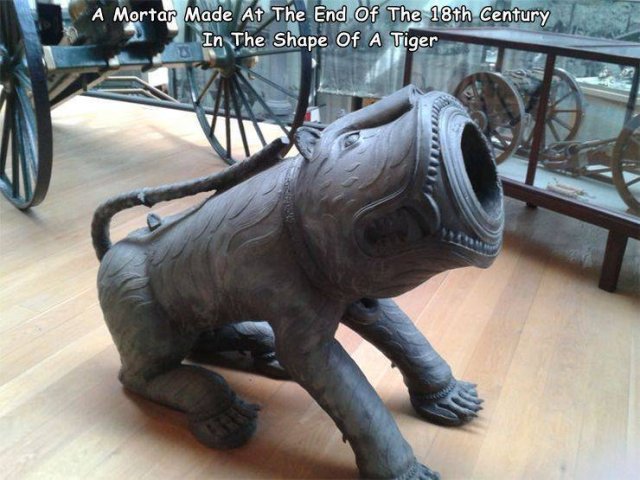 Acid Picdump 1 (87 pics)