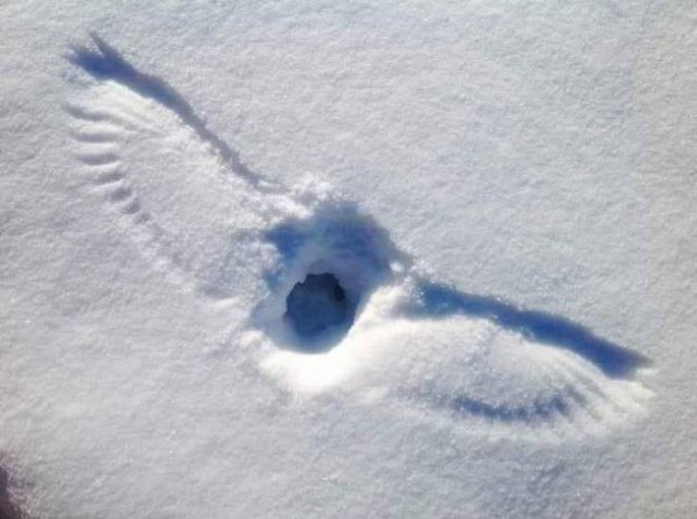 Beautiful Winter Pictures (35 pics)