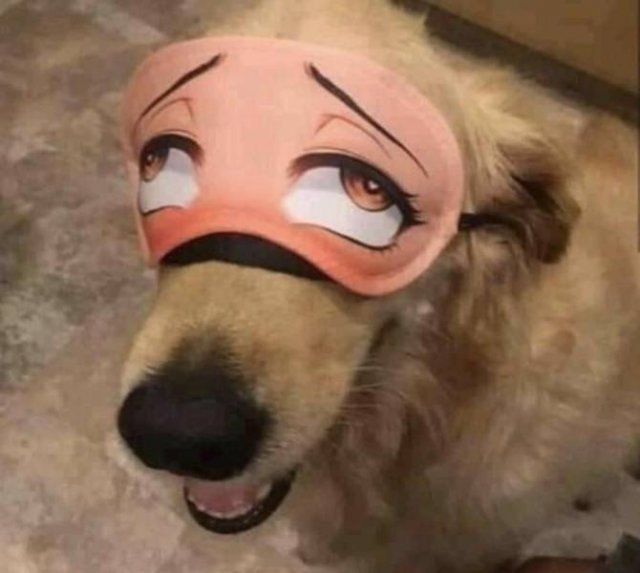 Acid Picdump 1 (87 pics)