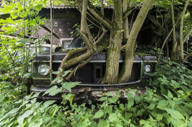 Acid Picdump 1 (87 pics)