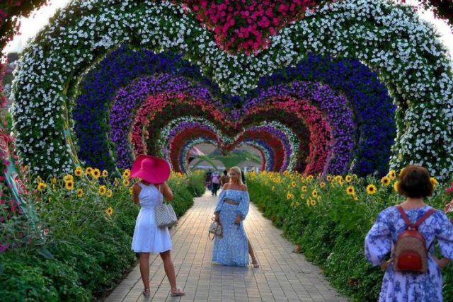 Acid Picdump 1 (87 pics)