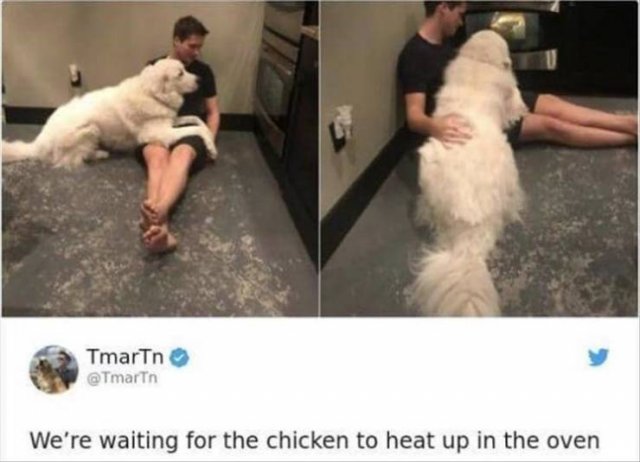 Random Funny Memes (68 pics)
