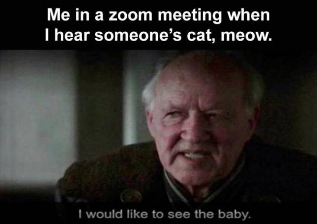 Random Funny Memes (68 pics)