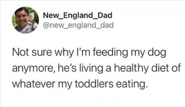 Funny Tweets (29 pics)