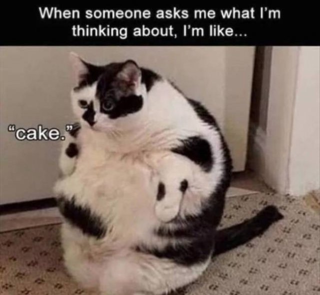 Random Funny Memes (68 pics)