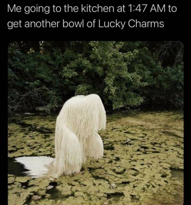 Random Funny Memes (68 pics)