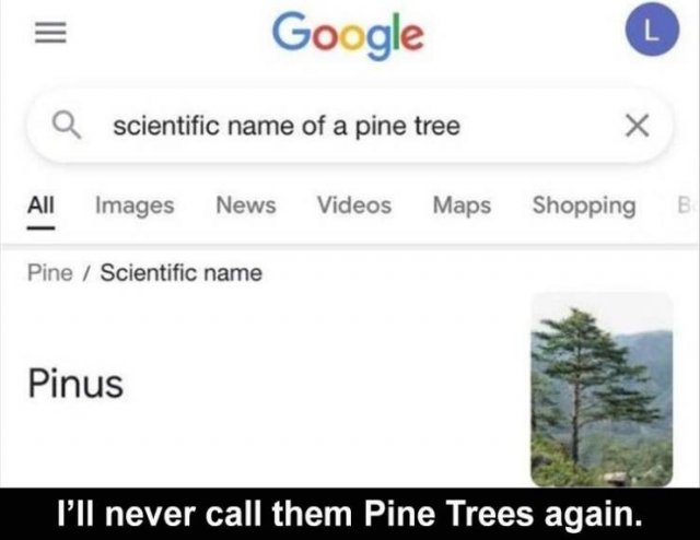 Random Funny Memes (68 pics)