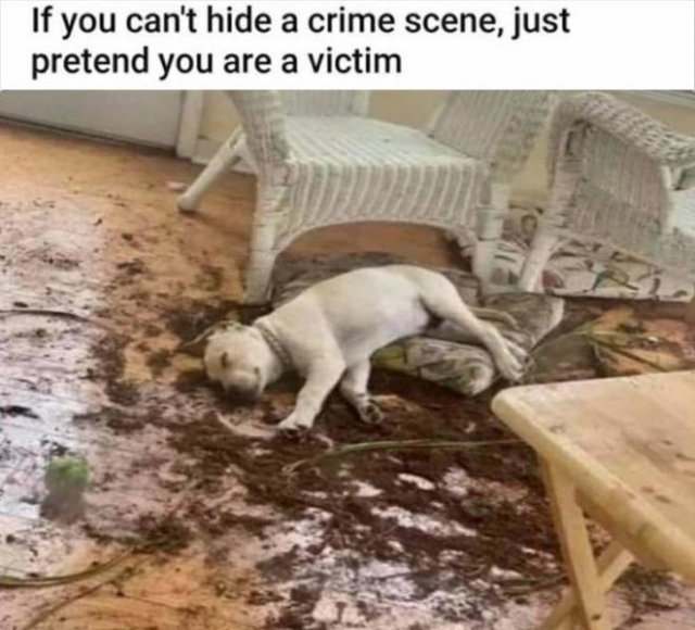 Random Funny Memes (68 pics)
