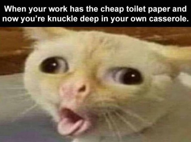 Random Funny Memes (68 pics)