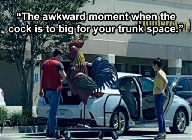 Random Funny Memes (68 pics)