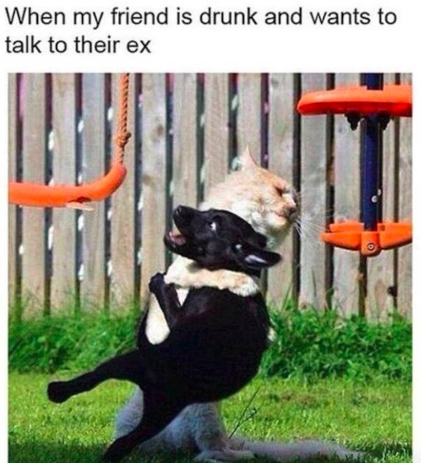 Best Friend Memes And Tweets (28 pics)