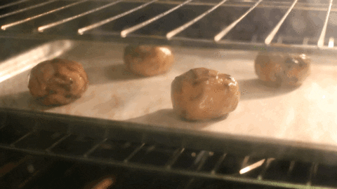 Quarantine Things That Are Not That Bad (16 gifs) Quarantine Things That Are Not That Bad (16 gifs)