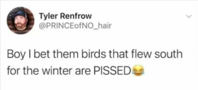 Funny Tweets (60 pics)