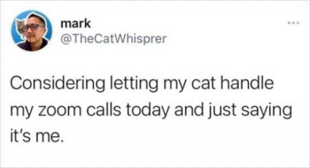 Funny Tweets (60 pics)