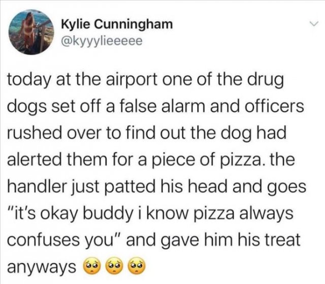 Funny Tweets (60 pics)