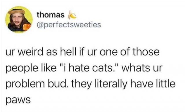 Funny Tweets (60 pics)