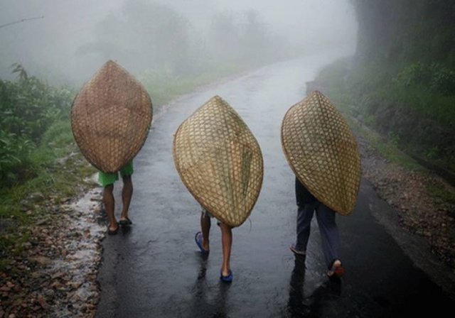 Weather Facts (16 pics)
