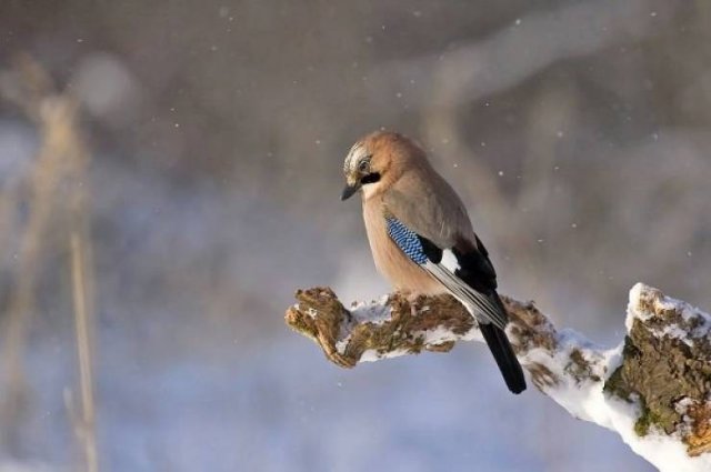 Weather Facts (16 pics)