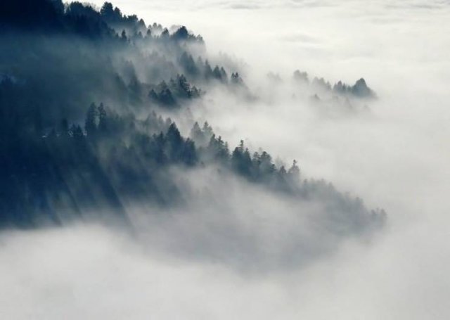 Weather Facts (16 pics)