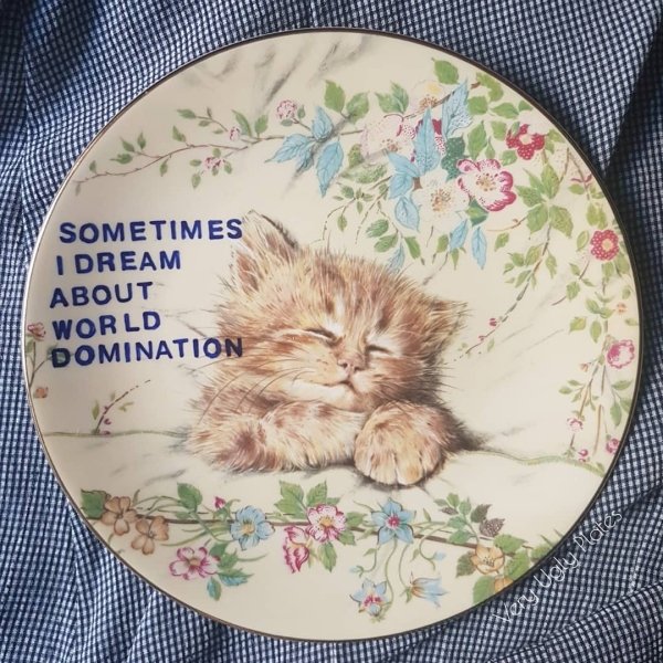 Ugly Plates (12 pics)