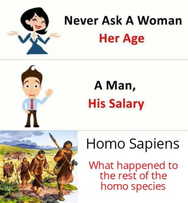 History Memes (26 pics)
