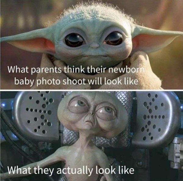 Hilarious Memes (23 pics)