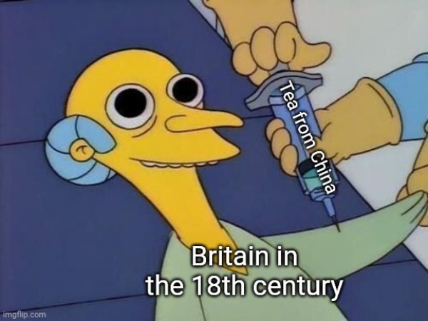 History Memes (26 pics)