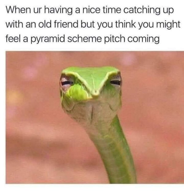 Hilarious Memes (23 pics)