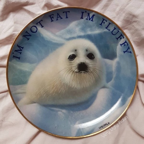 Ugly Plates (12 pics)