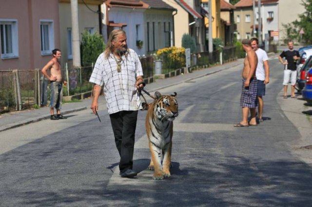 Acid Picdump 2 (59 pics)
