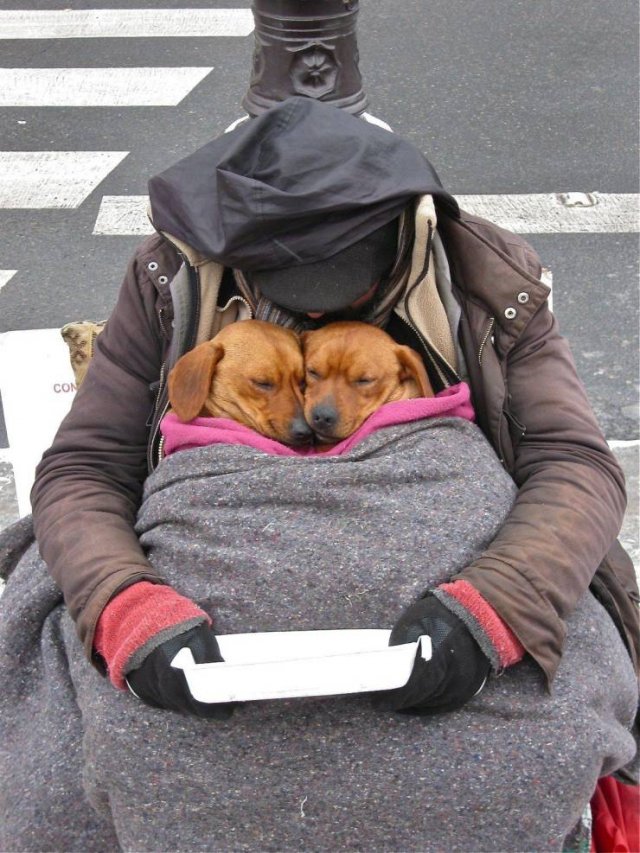 Acid Picdump 2 (59 pics)