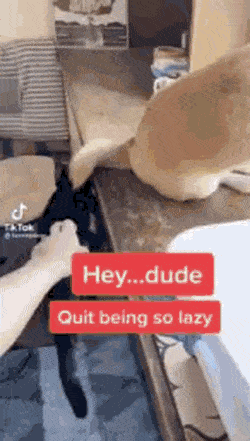 Acid Gifdump, February 22 (25 gifs)