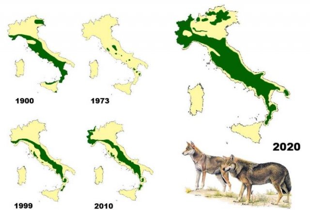 Unusual Maps (28 pics)