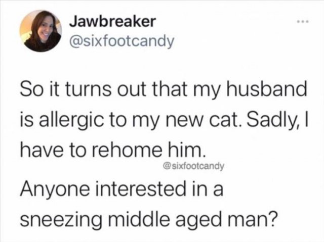 Funny Tweets (43 pics)