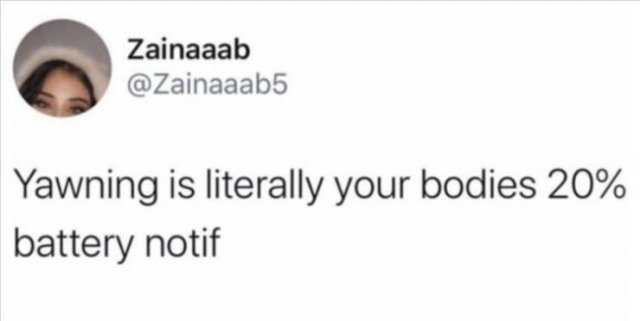 Funny Tweets (43 pics)