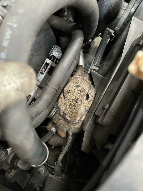 Car Mechanic Situations (29 pics)