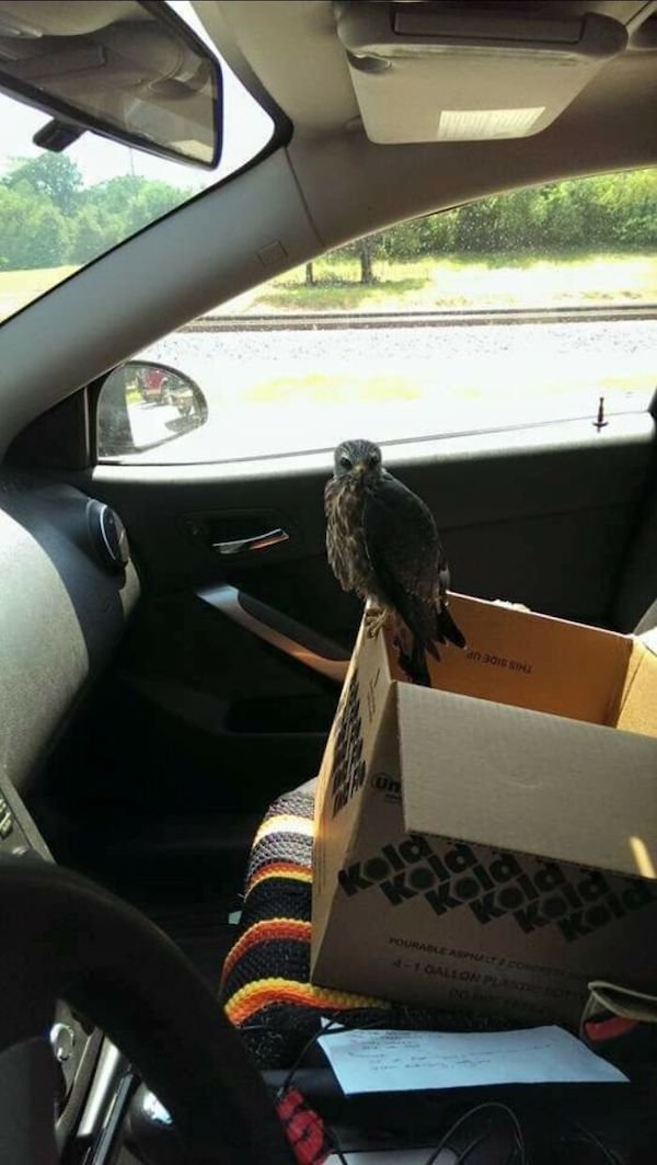 Car Mechanic Situations (29 pics)