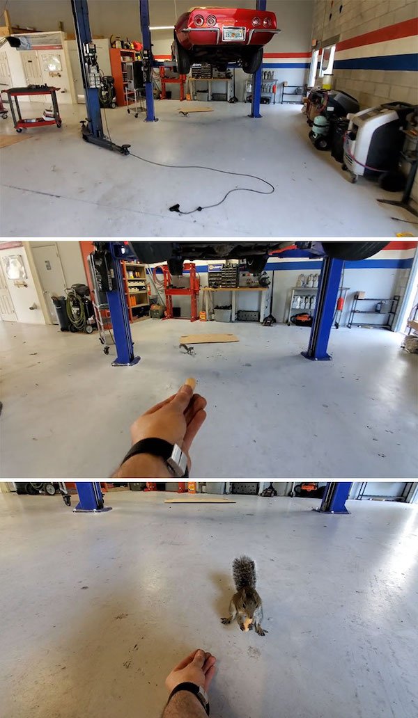 Car Mechanic Situations (29 pics)