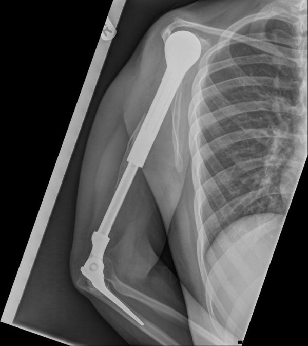 Things Under X-Rays (24 pics)