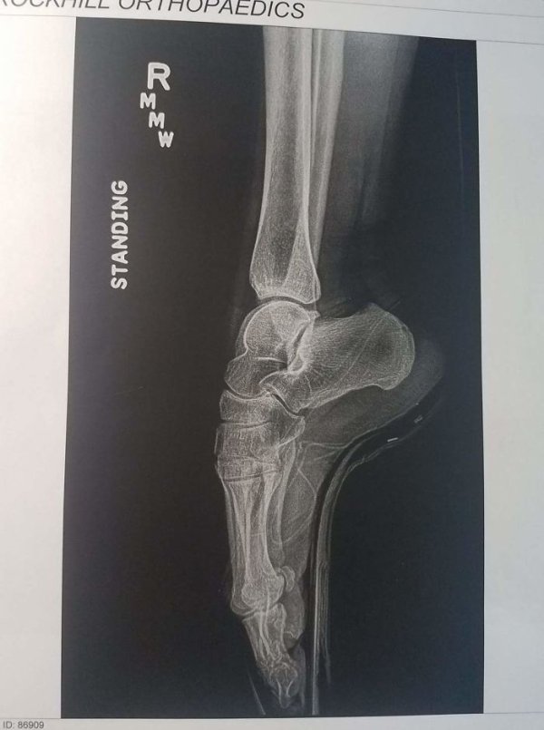 Things Under X-Rays (24 pics)