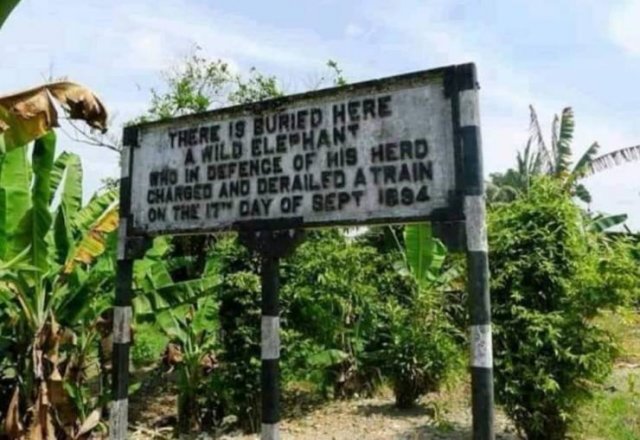 Acid Picdump 2 (91 pics)