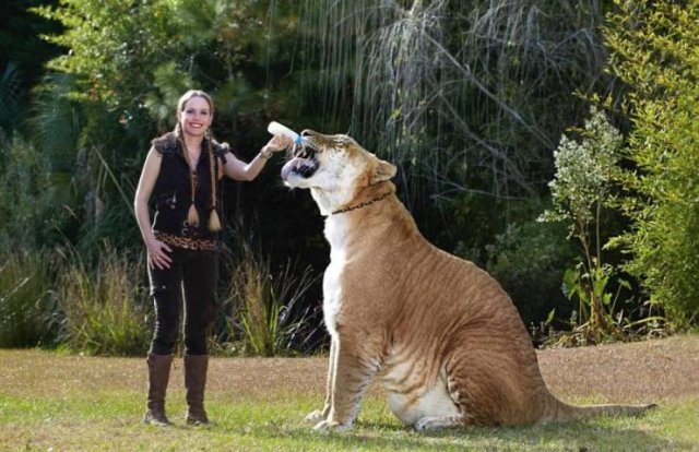 Acid Picdump 2 (91 pics)