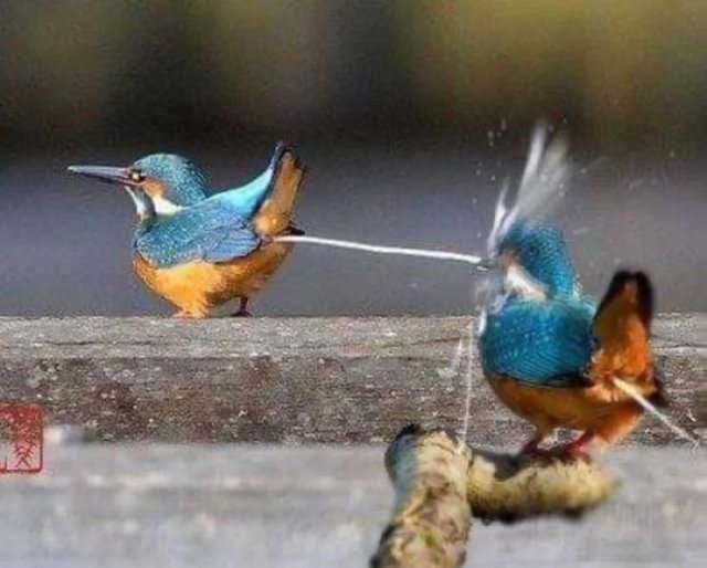 Bad Days Happen (41 pics)