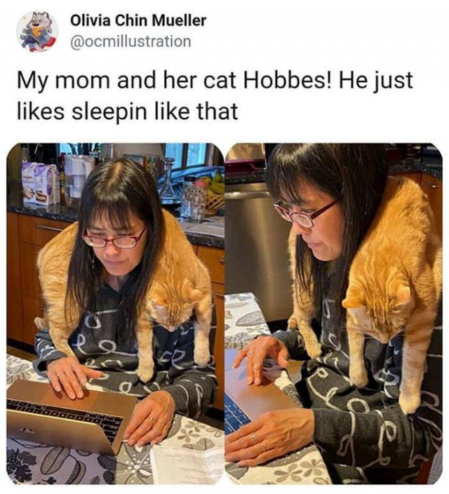 Wholesome Stories (42 pics)