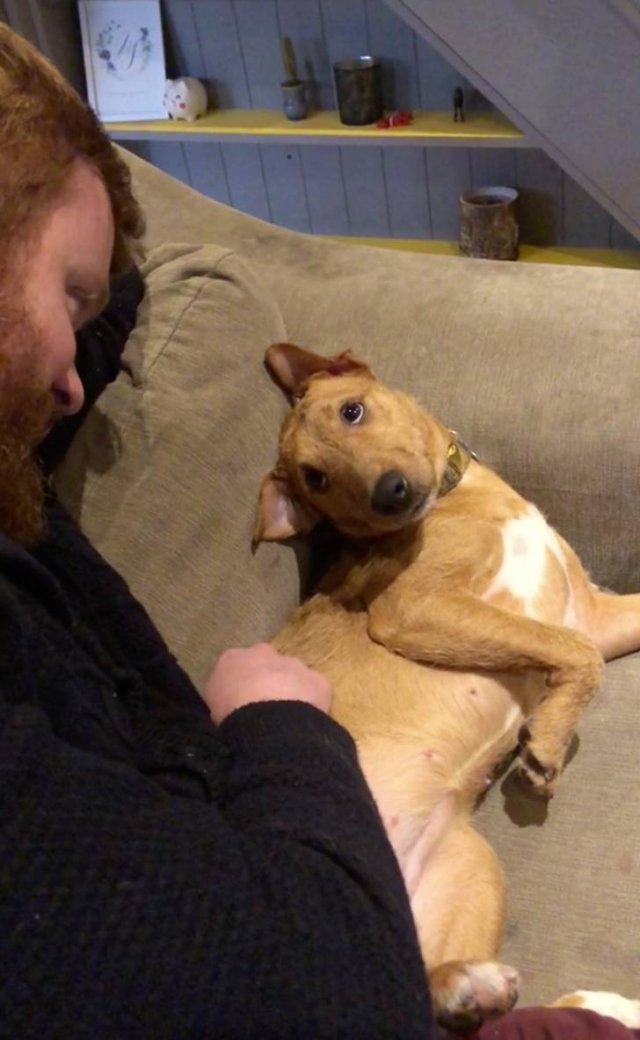 Wholesome Stories (42 pics)