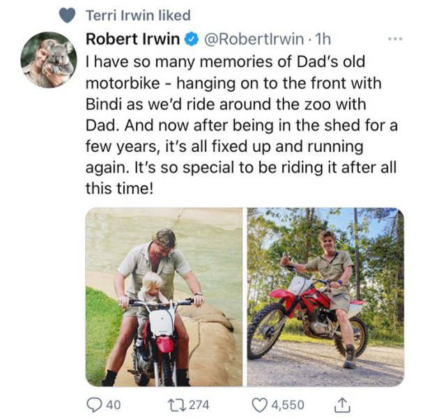 Wholesome Stories (42 pics)